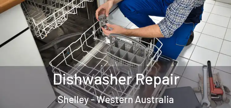 Dishwasher Repair Shelley - Western Australia