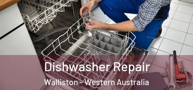 Dishwasher Repair Walliston - Western Australia