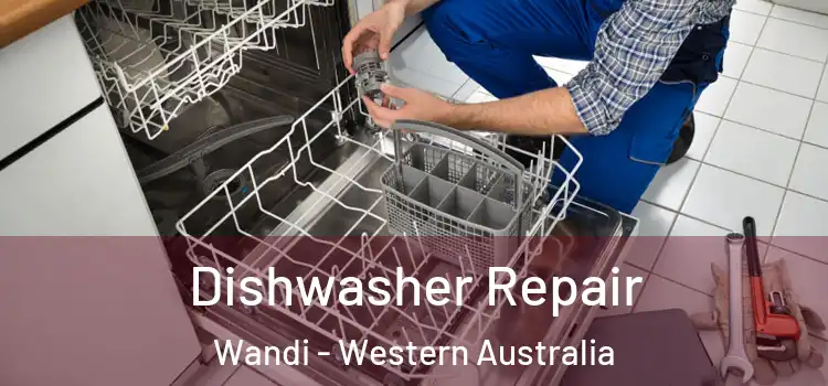 Dishwasher Repair Wandi - Western Australia