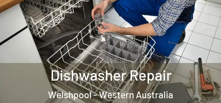 Dishwasher Repair Welshpool - Western Australia