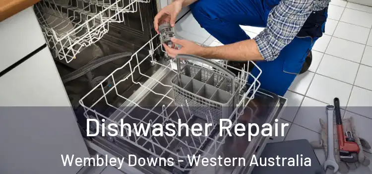 Dishwasher Repair Wembley Downs - Western Australia