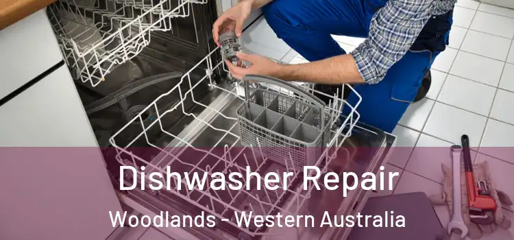Dishwasher Repair Woodlands - Western Australia