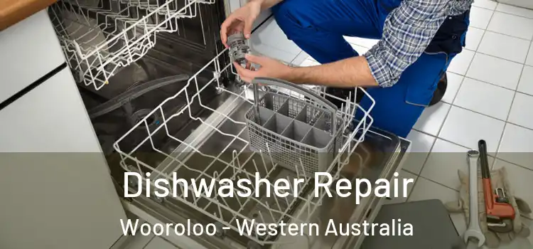 Dishwasher Repair Wooroloo - Western Australia