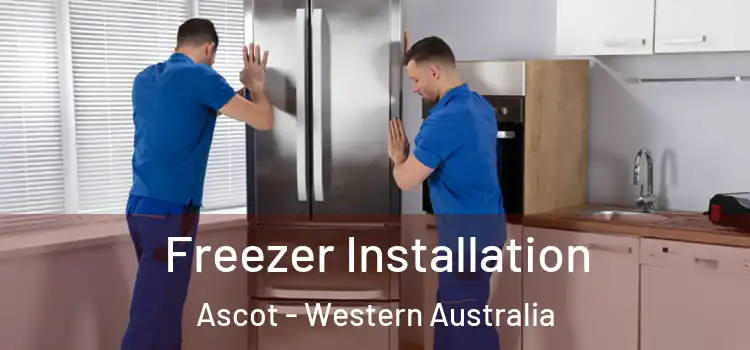 Freezer Installation Ascot - Western Australia