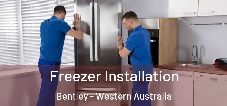 Freezer Installation Bentley - Western Australia