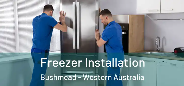 Freezer Installation Bushmead - Western Australia