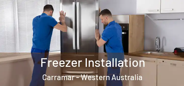 Freezer Installation Carramar - Western Australia