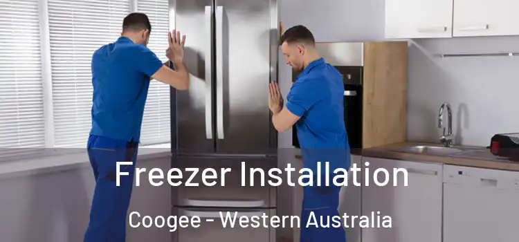Freezer Installation Coogee - Western Australia