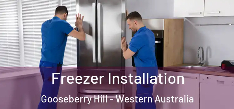 Freezer Installation Gooseberry Hill - Western Australia