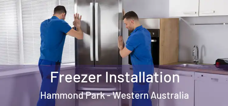 Freezer Installation Hammond Park - Western Australia