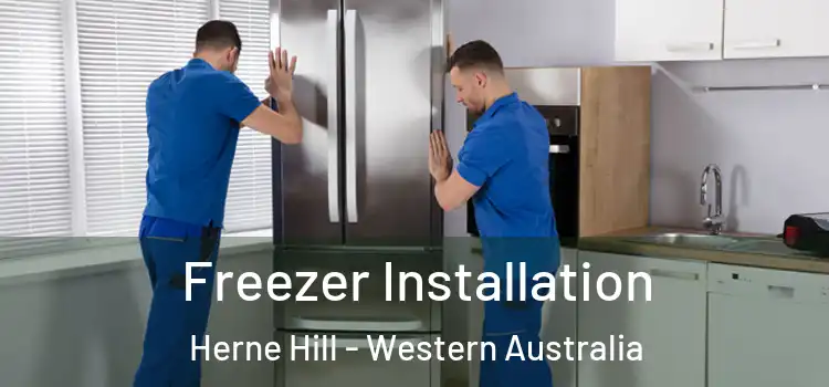 Freezer Installation Herne Hill - Western Australia