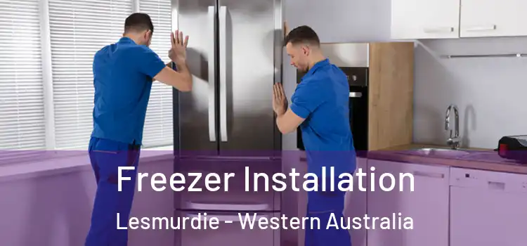 Freezer Installation Lesmurdie - Western Australia