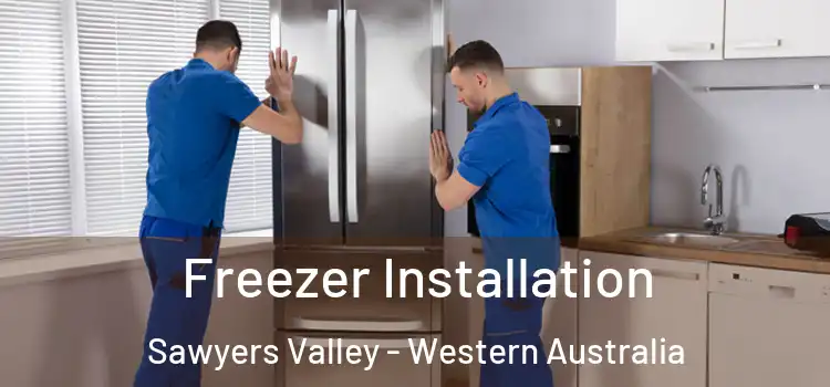 Freezer Installation Sawyers Valley - Western Australia