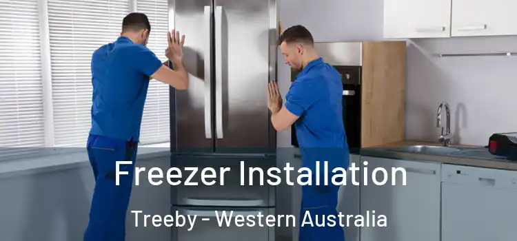 Freezer Installation Treeby - Western Australia