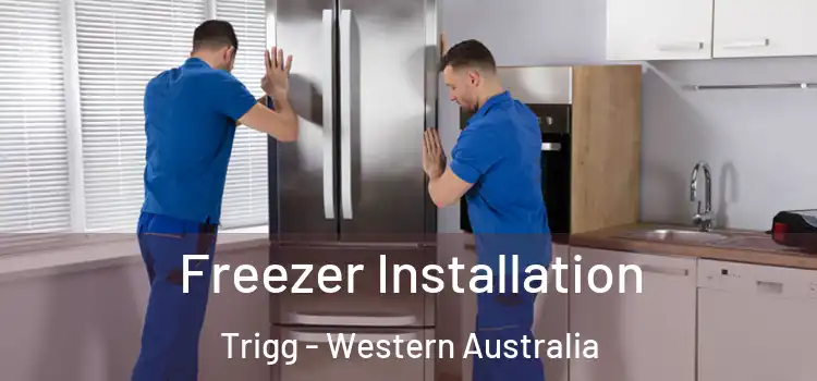 Freezer Installation Trigg - Western Australia