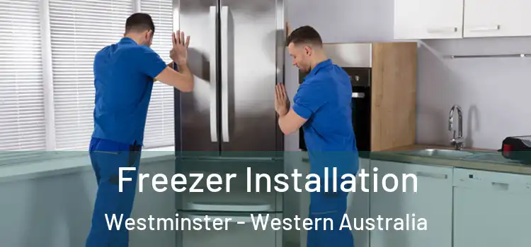 Freezer Installation Westminster - Western Australia