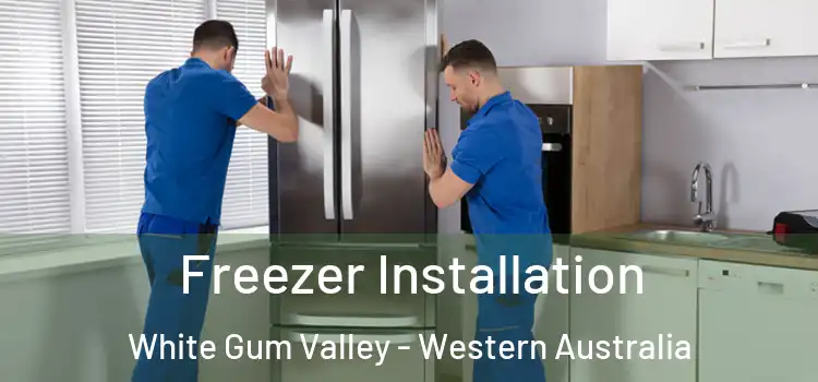 Freezer Installation White Gum Valley - Western Australia