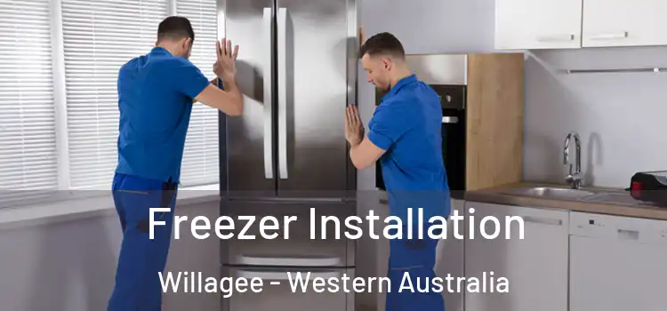 Freezer Installation Willagee - Western Australia