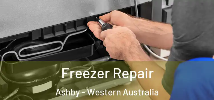 Freezer Repair Ashby - Western Australia
