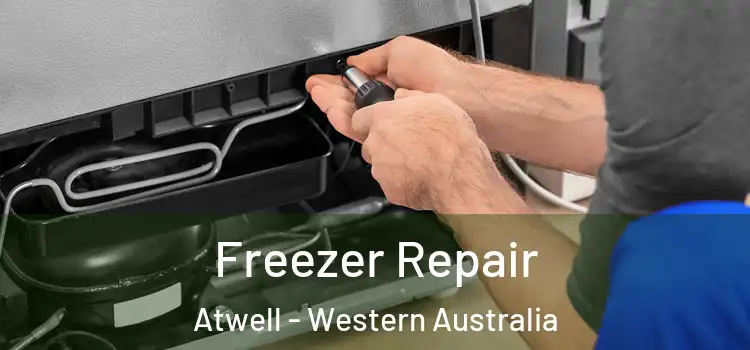 Freezer Repair Atwell - Western Australia