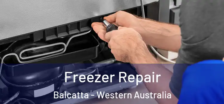 Freezer Repair Balcatta - Western Australia