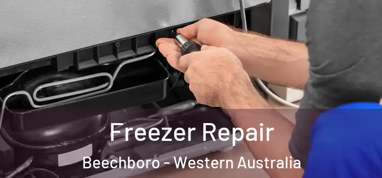 Freezer Repair Beechboro - Western Australia