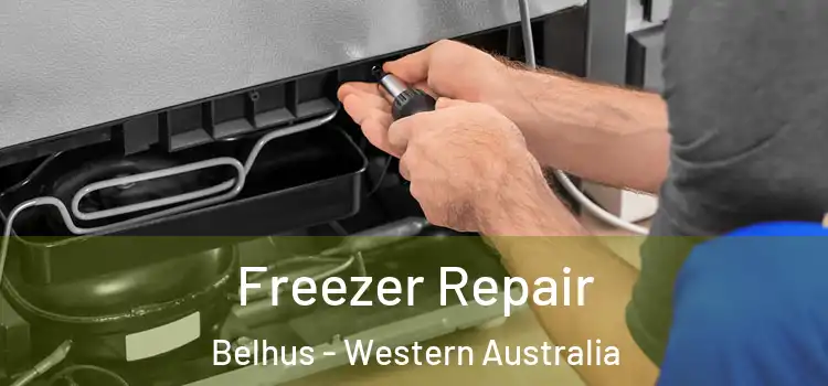 Freezer Repair Belhus - Western Australia
