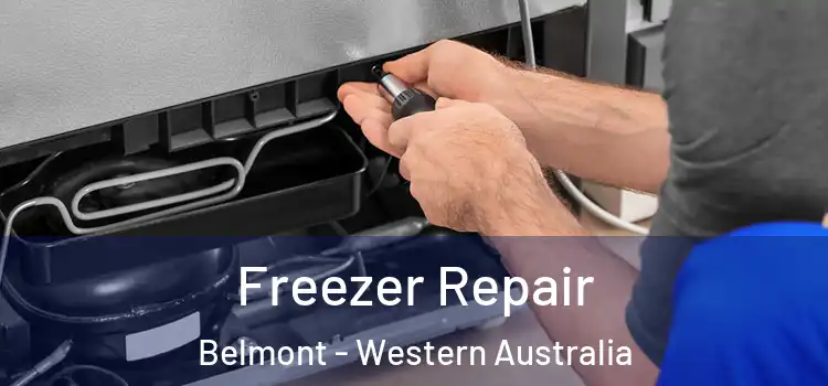 Freezer Repair Belmont - Western Australia
