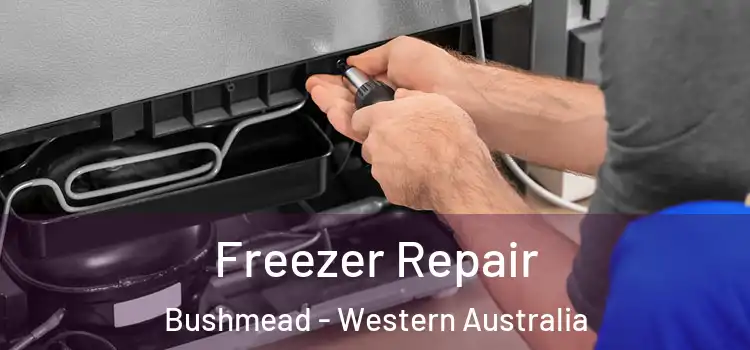 Freezer Repair Bushmead - Western Australia
