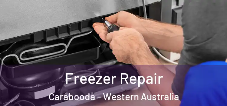 Freezer Repair Carabooda - Western Australia