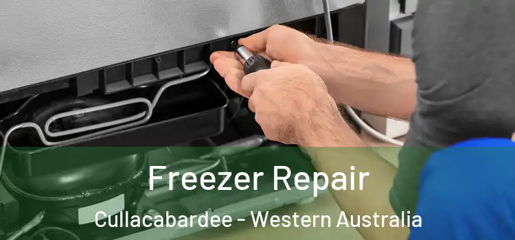 Freezer Repair Cullacabardee - Western Australia