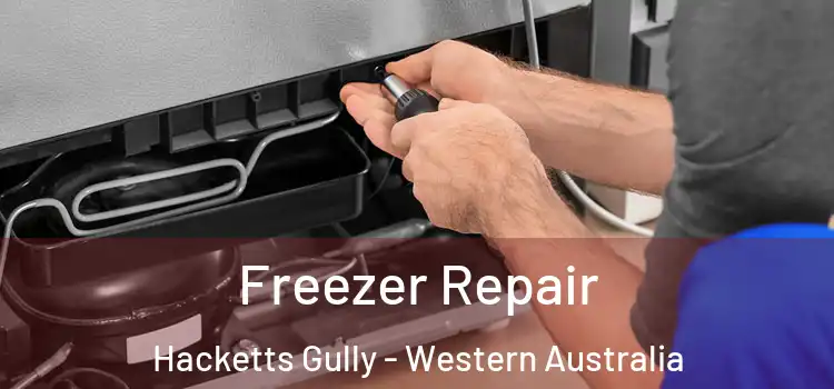 Freezer Repair Hacketts Gully - Western Australia