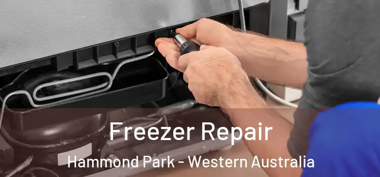 Freezer Repair Hammond Park - Western Australia