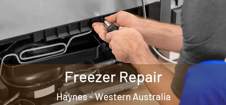 Freezer Repair Haynes - Western Australia