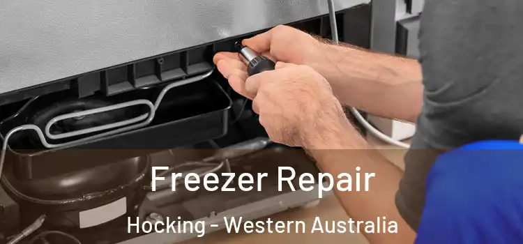 Freezer Repair Hocking - Western Australia