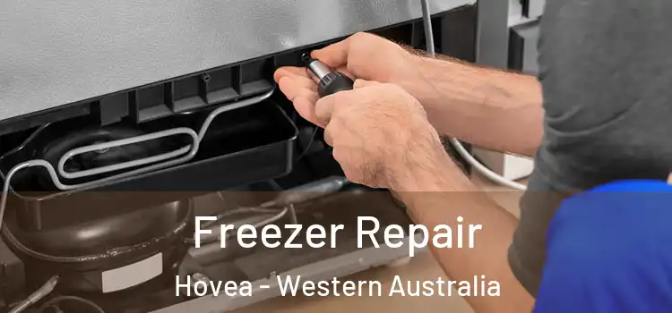 Freezer Repair Hovea - Western Australia