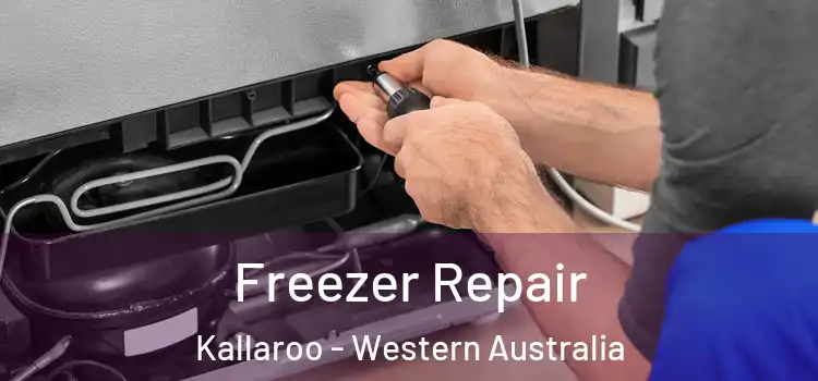 Freezer Repair Kallaroo - Western Australia