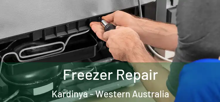 Freezer Repair Kardinya - Western Australia