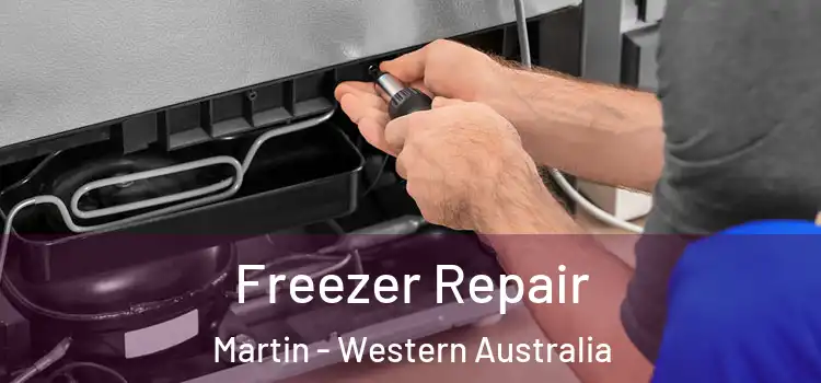 Freezer Repair Martin - Western Australia