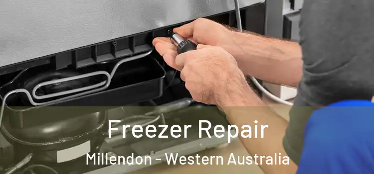 Freezer Repair Millendon - Western Australia