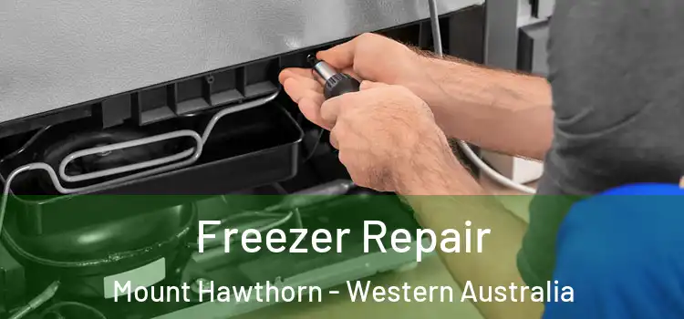 Freezer Repair Mount Hawthorn - Western Australia