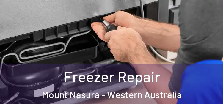 Freezer Repair Mount Nasura - Western Australia