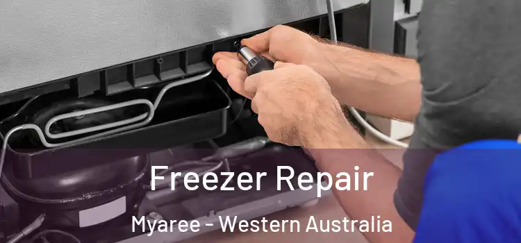 Freezer Repair Myaree - Western Australia