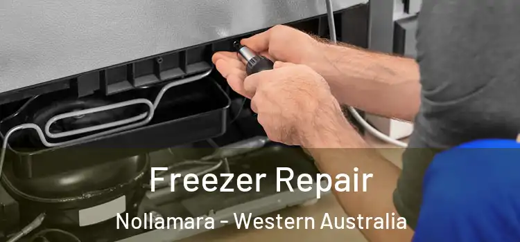 Freezer Repair Nollamara - Western Australia