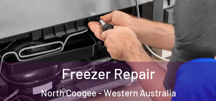 Freezer Repair North Coogee - Western Australia