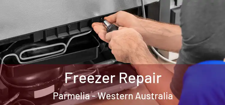 Freezer Repair Parmelia - Western Australia