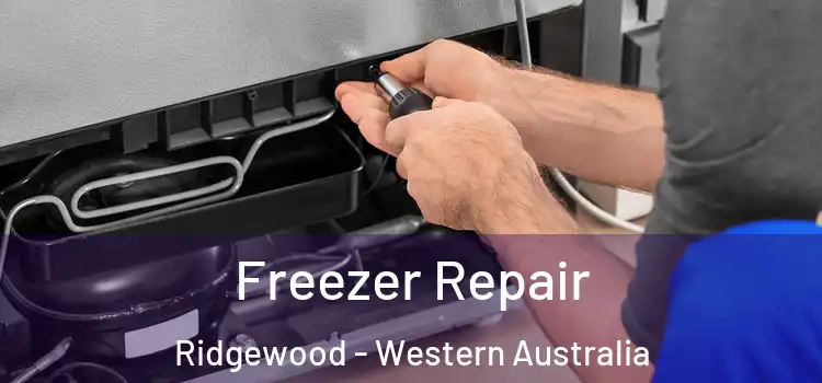 Freezer Repair Ridgewood - Western Australia