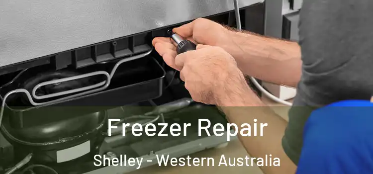 Freezer Repair Shelley - Western Australia