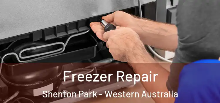Freezer Repair Shenton Park - Western Australia