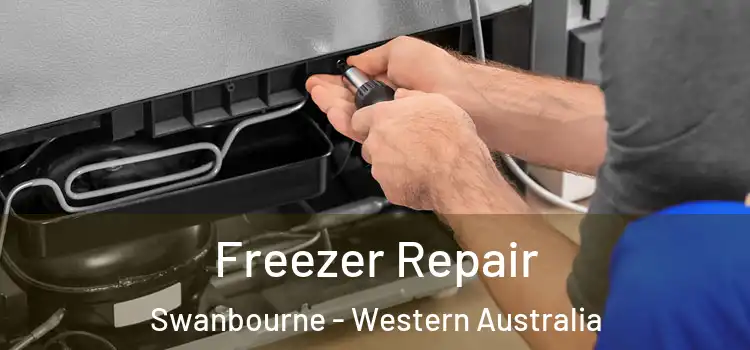 Freezer Repair Swanbourne - Western Australia